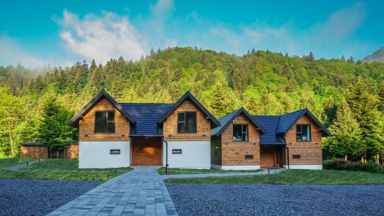 Novosiele Residence - Nad Gorska Rzeka - Lesne Spa Sauna Jacuzzi - Bieszczady Bystre  Buitenkant foto