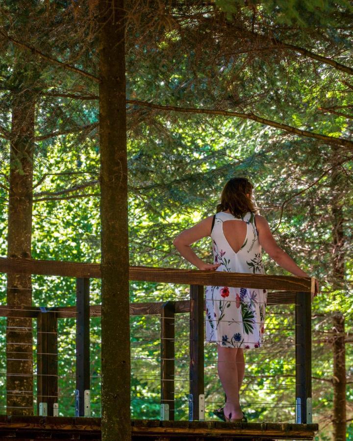 Novosiele Residence - Nad Gorska Rzeka - Lesne Spa Sauna Jacuzzi - Bieszczady Bystre  Buitenkant foto
