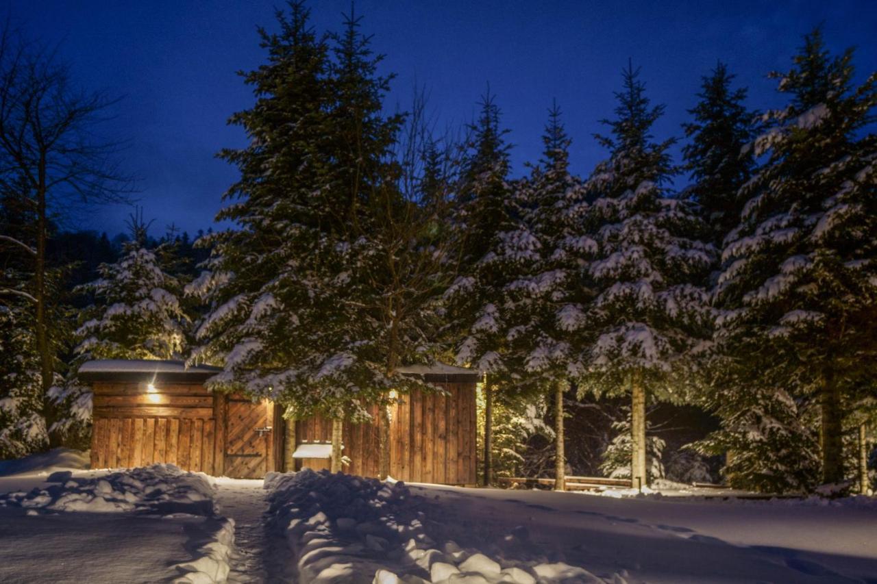 Novosiele Residence - Nad Gorska Rzeka - Lesne Spa Sauna Jacuzzi - Bieszczady Bystre  Buitenkant foto