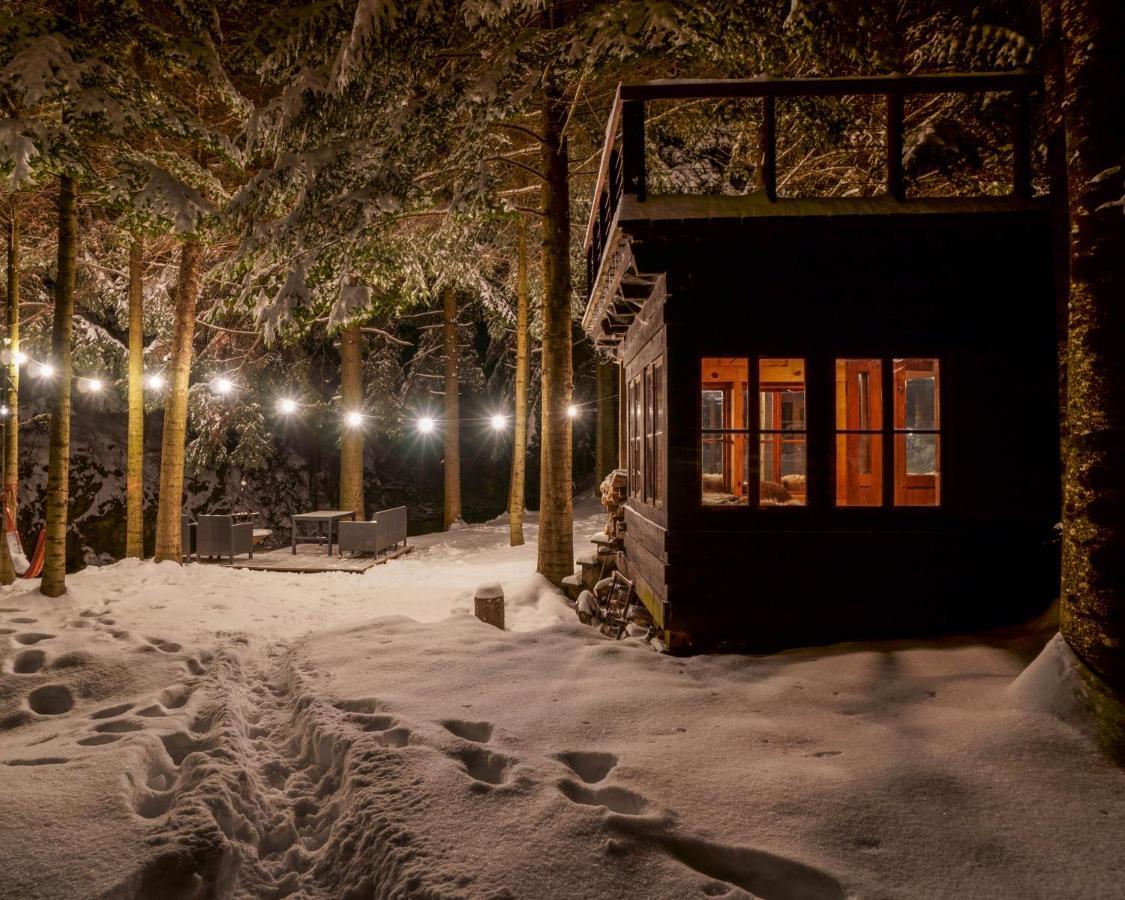 Novosiele Residence - Nad Gorska Rzeka - Lesne Spa Sauna Jacuzzi - Bieszczady Bystre  Buitenkant foto